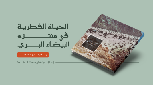 منتزه البيضاء